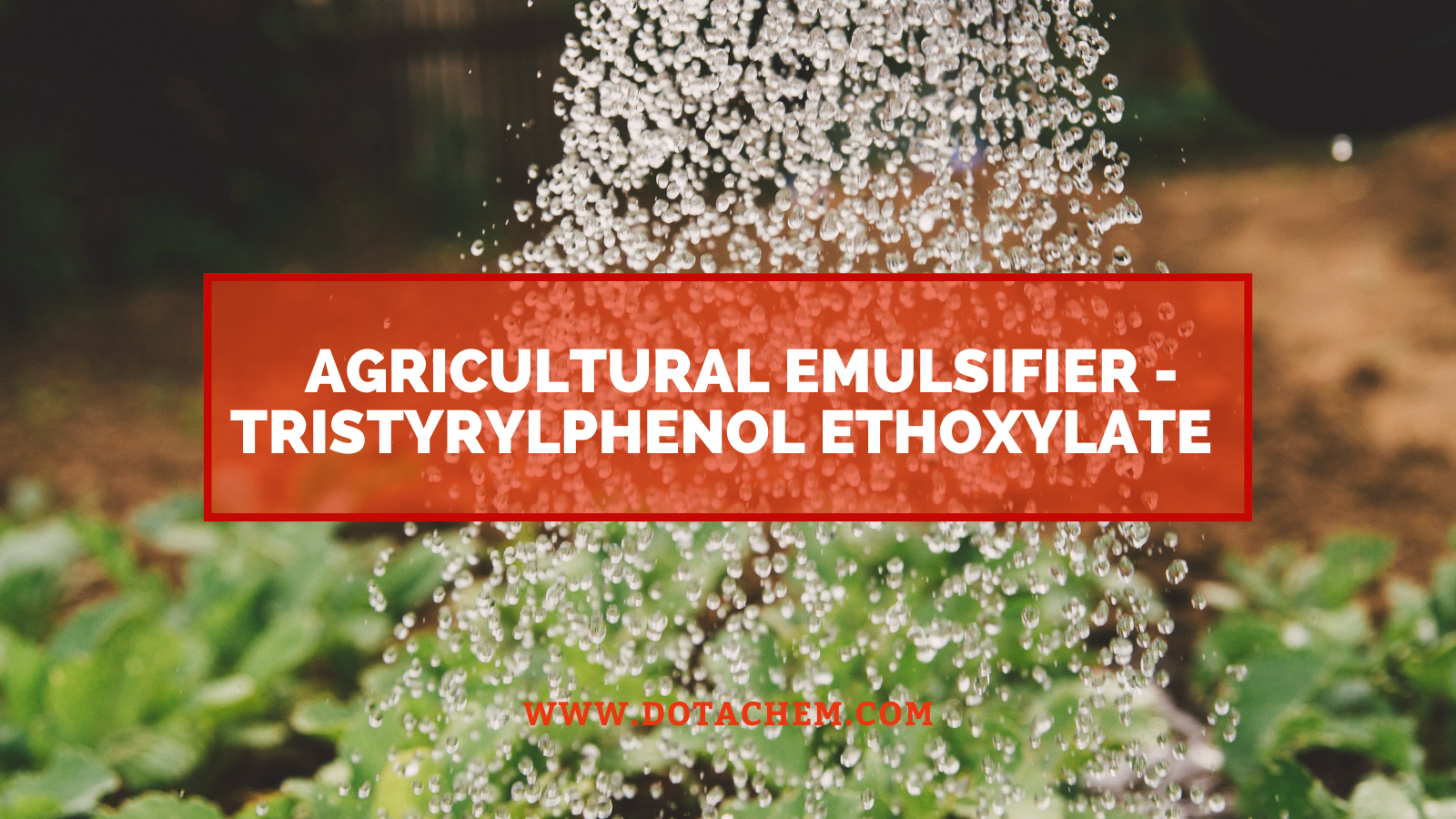 Un nouveau choix pour l'émulsifiant agricole - l'éthoxylate de tristyrylphénol de Dotachem est fourni par des professionnels !