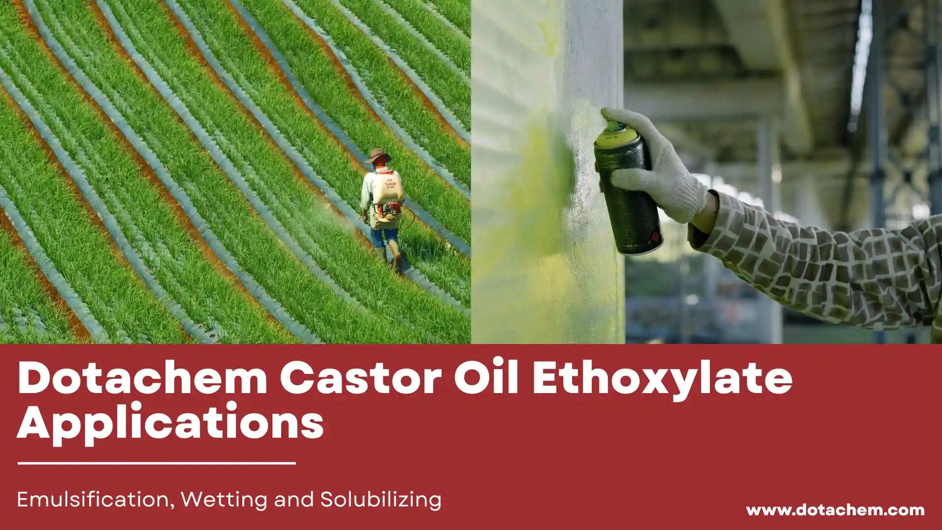 Applications de l'éthoxylate d'huile de ricin Dotachem en émulsification, mouillage et solubilisation