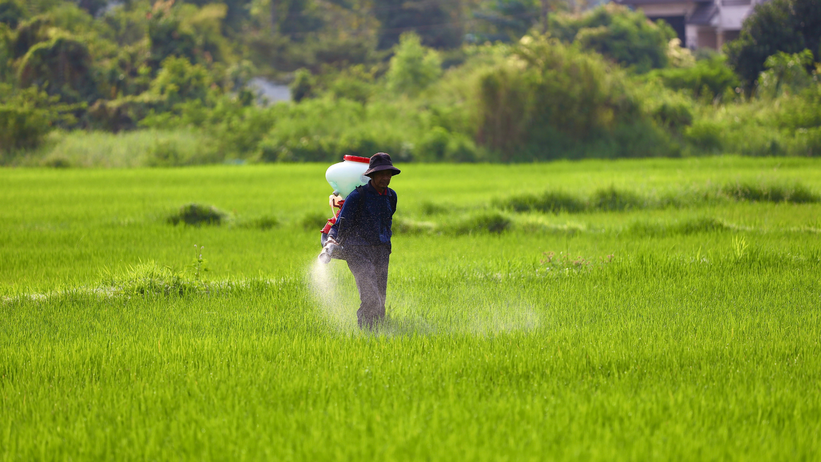 À quoi sert la monoéthanolamine dans les produits agrochimiques ?